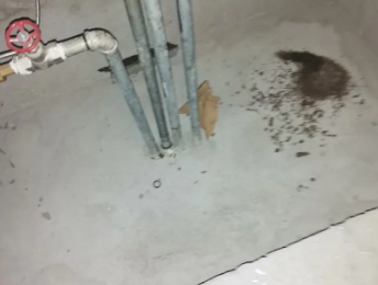 文昌卫生间测漏水价格明细